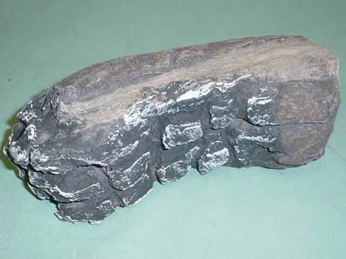 LOG, RIGHT LOG - LS6# � (AKA DVS I) - BERKSHIRE