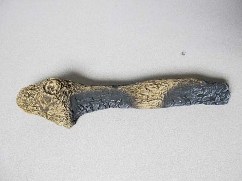 LOG, LEFT TWIG - LS39 (#5)#