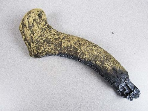 LOG, RIGHT TWIG - LS39 (#6)#