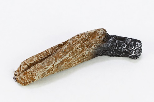 LOG, FRONT LEFT LS63(#7)# � DRIFTWOOD