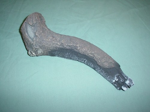 LOG, RIGHT TWIG - LS13 # � 36DVXL EF/EF2/HERT EF2/864HH