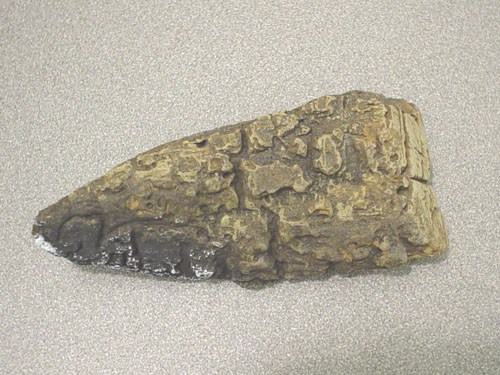 LOG, FRONT CENTER (#7) - LS22# � CHUNK
