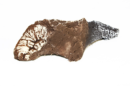 LOG, TWIG CENTER - LS67 (#6)#