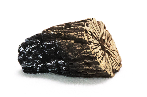 LOG, TWIG RIGHT - LS67 (#8)#