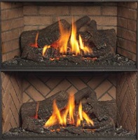 DISCONTINUED - FIREBACK, DVS INS BRICK/HERR*